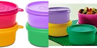 Boîtes Tupperware Tropicales Anti-Fuites (210ml)
