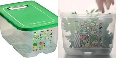 Boîte Tupperware PrimaKlima Oasis 4,4L Verte Foncée
